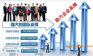 湖南網店美工設計、代運營與網絡營銷策劃 一站式電商服務解決方案